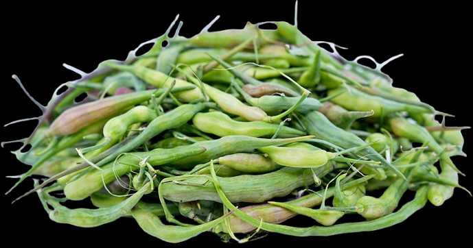 Vegetable Name in english and Hindi